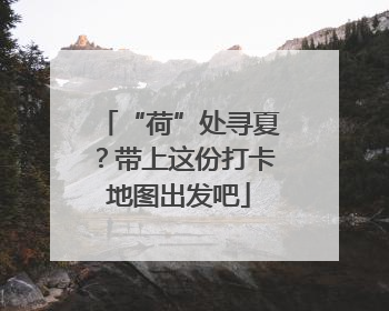 “荷”处寻夏？带上这份打卡地图出发吧