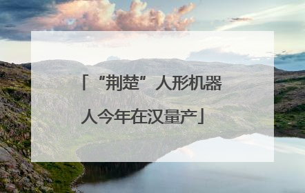 “荆楚”人形机器人今年在汉量产