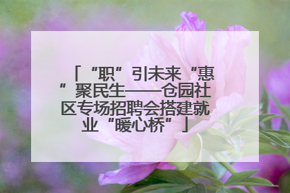 “职”引未来“惠”聚民生——仓园社区专场招聘会搭建就业“暖心桥”
