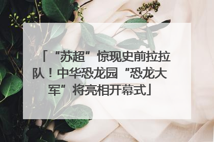 “苏超”惊现史前拉拉队！中华恐龙园“恐龙大军”将亮相开幕式