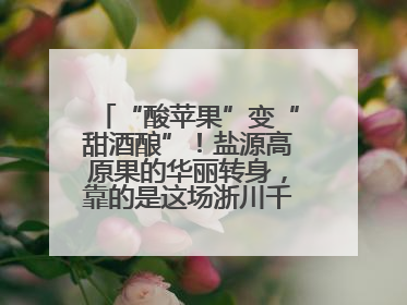 “酸苹果”变“甜酒酿”！盐源高原果的华丽转身，靠的是这场浙川千里“联姻”