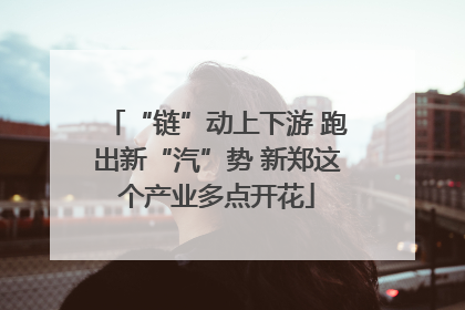 “链”动上下游 跑出新“汽”势 新郑这个产业多点开花