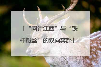 “问计江西”与“铁杆粉丝”的双向奔赴