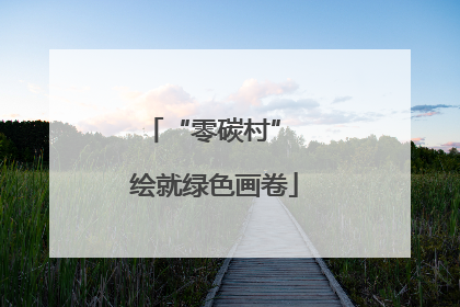 “零碳村” 绘就绿色画卷