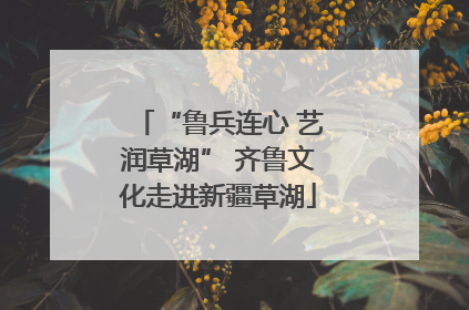 “鲁兵连心 艺润草湖” 齐鲁文化走进新疆草湖