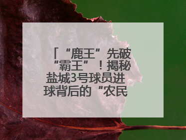 “鹿王”先破“霸王”！揭秘盐城3号球员进球背后的“农民街游侠”联盟