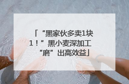 “黑家伙多卖1块1！”黑小麦深加工“磨”出高效益