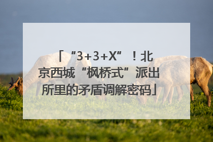 “3+3+X”！北京西城“枫桥式”派出所里的矛盾调解密码