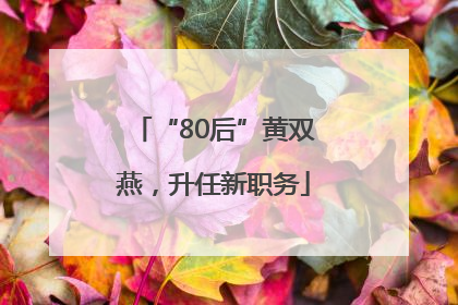 “80后”黄双燕，升任新职务