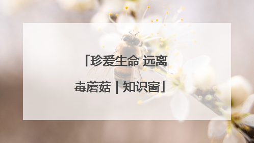 珍爱生命 远离毒蘑菇｜知识窗