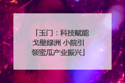 玉门：科技赋能戈壁绿洲 小院引领蜜瓜产业振兴