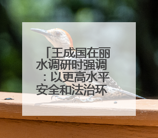 王成国在丽水调研时强调：以更高水平安全和法治环境服务保障山区海岛县高质量发展