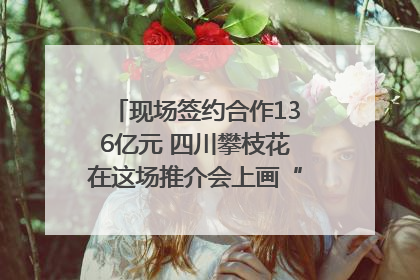 现场签约合作136亿元 四川攀枝花在这场推介会上画“图谱”列“清单”