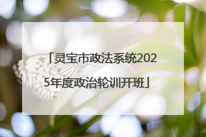 灵宝市政法系统2025年度政治轮训开班