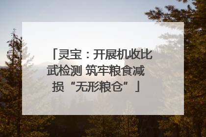 灵宝：开展机收比武检测 筑牢粮食减损“无形粮仓”