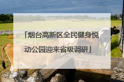 烟台高新区全民健身悦动公园迎来省级调研