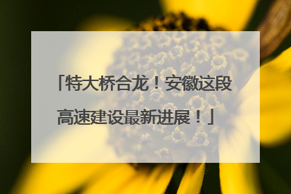 特大桥合龙！安徽这段高速建设最新进展！