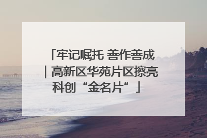 牢记嘱托 善作善成｜高新区华苑片区擦亮科创“金名片”