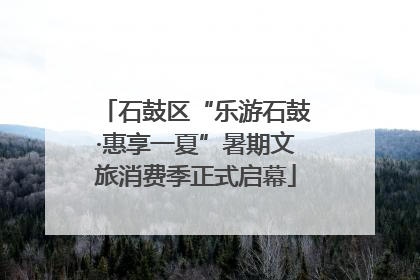 石鼓区“乐游石鼓·惠享一夏”暑期文旅消费季正式启幕