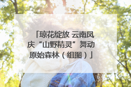 琼花绽放 云南凤庆“山野精灵”舞动原始森林（组图）