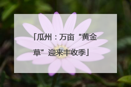 瓜州：万亩“黄金草”迎来丰收季