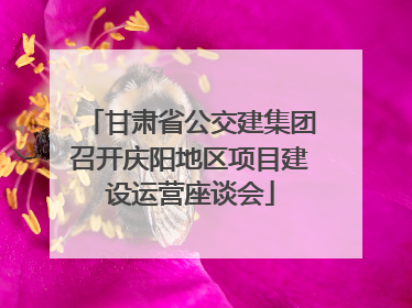 甘肃省公交建集团召开庆阳地区项目建设运营座谈会