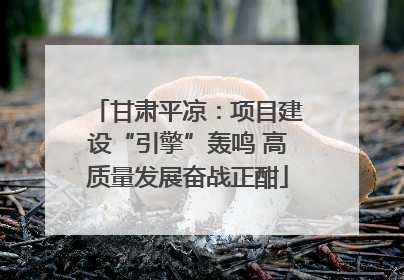 甘肃平凉：项目建设“引擎”轰鸣 高质量发展奋战正酣