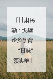 甘肃民勤：戈壁沙乡孕育“甘味”领头羊