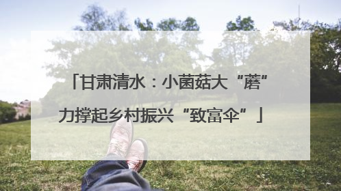 甘肃清水：小菌菇大“蘑”力撑起乡村振兴“致富伞”