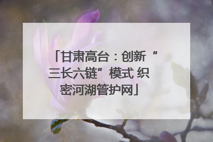 甘肃高台：创新“三长六链”模式 织密河湖管护网