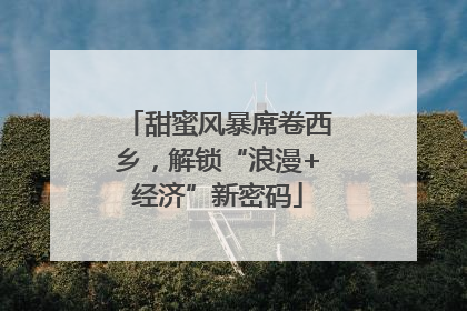 甜蜜风暴席卷西乡，解锁“浪漫+经济”新密码