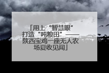 用上“智慧眼” 打造“吨粮田”——陕西宝鸡一座无人农场夏收见闻