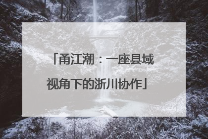 甬江潮：一座县域视角下的浙川协作