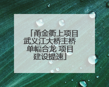 甬金衢上项目武义江大桥主桥单幅合龙 项目建设提速