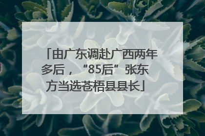 由广东调赴广西两年多后，“85后”张东方当选苍梧县县长