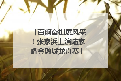 百舸奋楫展风采！张家浜上演陆家嘴金融城龙舟赛