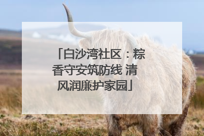 白沙湾社区：粽香守安筑防线 清风润廉护家园
