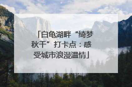 白龟湖畔“绮梦秋千”打卡点：感受城市浪漫温情