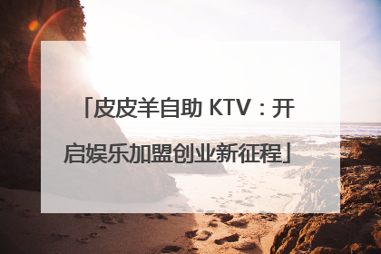 皮皮羊自助 KTV：开启娱乐加盟创业新征程