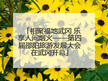 相聚福地武冈 乐享人间烟火——第四届邵阳旅游发展大会在武冈开幕