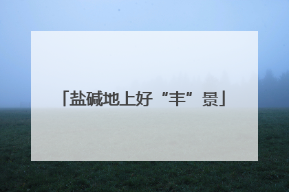 盐碱地上好“丰”景