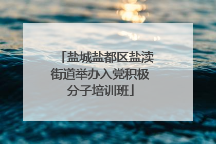 盐城盐都区盐渎街道举办入党积极分子培训班