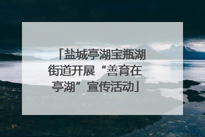 盐城亭湖宝瓶湖街道开展“善育在亭湖”宣传活动