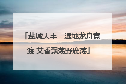 盐城大丰：湿地龙舟竞渡 艾香飘荡野鹿荡