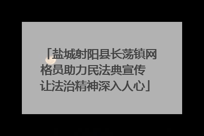盐城射阳县长荡镇网格员助力民法典宣传 让法治精神深入人心