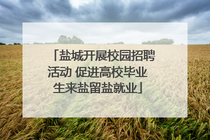 盐城开展校园招聘活动 促进高校毕业生来盐留盐就业