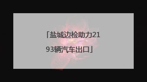 盐城边检助力2193辆汽车出口