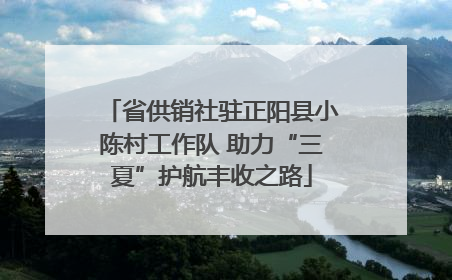 省供销社驻正阳县小陈村工作队 助力“三夏”护航丰收之路
