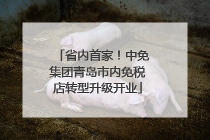 省内首家！中免集团青岛市内免税店转型升级开业
