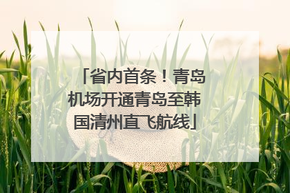 省内首条！青岛机场开通青岛至韩国清州直飞航线